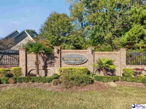 Other - 3184 Greystone Dr, Florence, SC 29501 photo 3 of 8