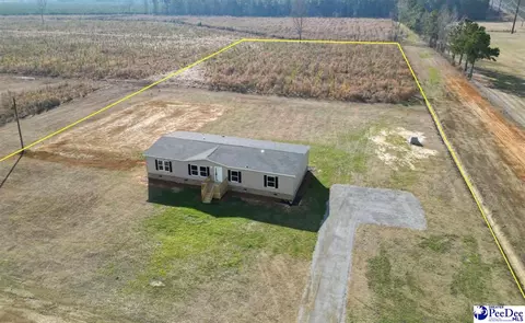 1549 Patty Rd, Cades, SC 29518