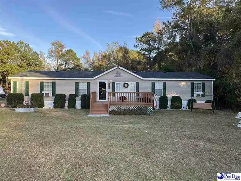 532 Sandy Hill Dr, Dillon, SC 29536 photo 1