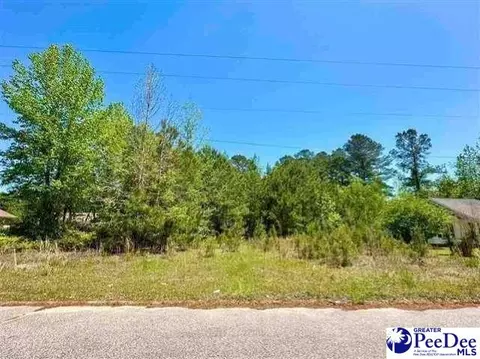 lot11 Tara Dr, Florence, SC 29505