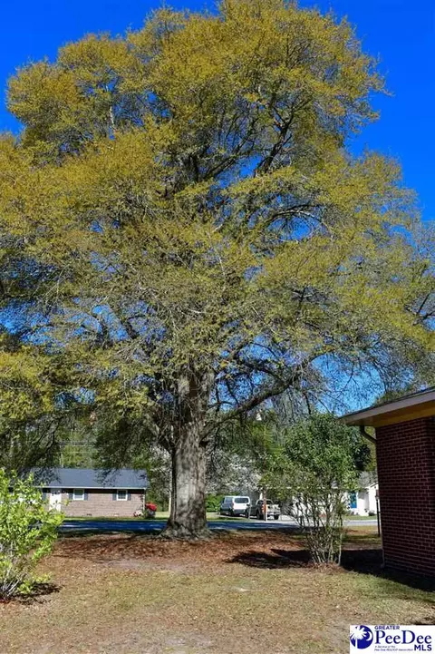 Other - 405 Dianne Dr, Cheraw, SC 29520 photo 8 of 10