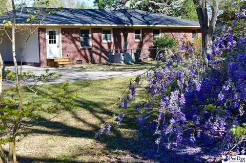 Exterior - 405 Dianne Dr, Cheraw, SC 29520 photo 9 of 12