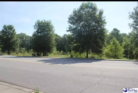 1403 S Fifth St, Hartsville, SC 29550