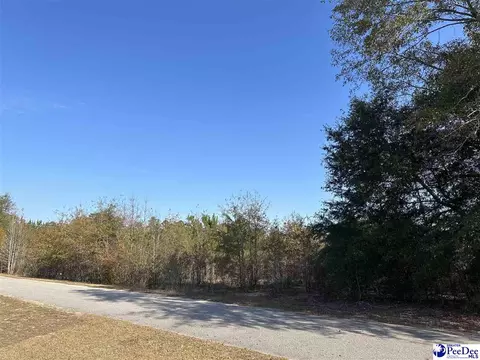 lot57 Berry Rd, Latta, SC 29565