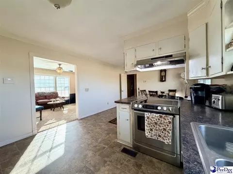 1022 Bermuda Rd, Dillon, SC 29536 photo 17