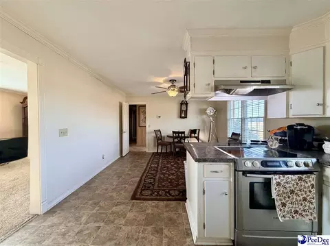 1022 Bermuda Rd, Dillon, SC 29536 photo 18