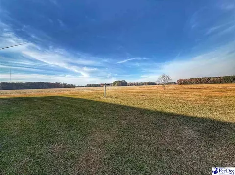 1022 Bermuda Rd, Dillon, SC 29536 photo 11