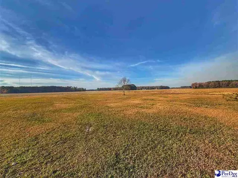 1022 Bermuda Rd, Dillon, SC 29536 photo 12