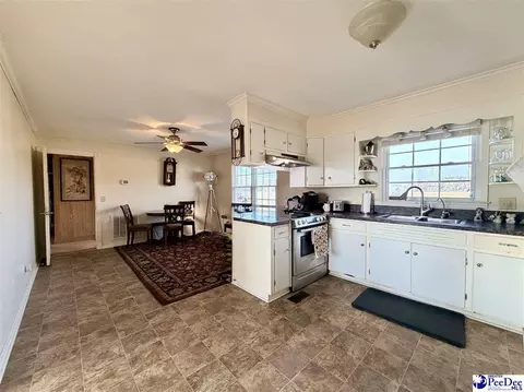 1022 Bermuda Rd, Dillon, SC 29536 photo 19