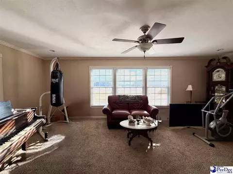 1022 Bermuda Rd, Dillon, SC 29536 photo 15