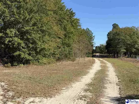 lot25 Norwood Farms, Mcbee, SC 29101