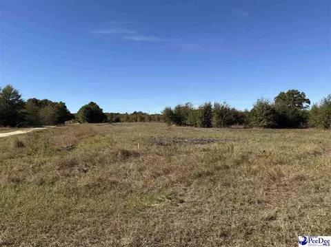 lot34 Norwood Farms, Mcbee, SC 29101