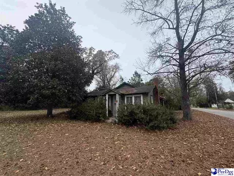 153 E Pine St, Johnsonville, SC 29555