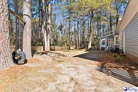 305 Virginia Ave, Cheraw, SC 29520 photo 57
