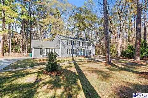 305 Virginia Ave, Cheraw, SC 29520 photo 55