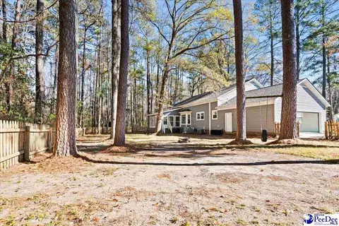 Exterior - 305 Virginia Ave, Cheraw, SC 29520 photo 14 of 15