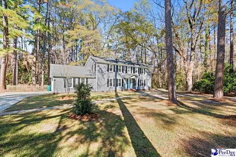 Other - 305 Virginia Ave, Cheraw, SC 29520 photo 22 of 22