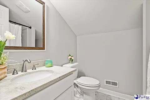 305 Virginia Ave, Cheraw, SC 29520 photo 43