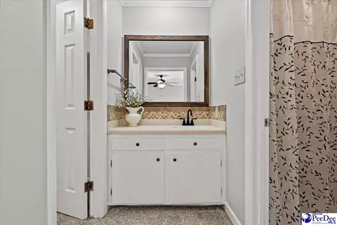 Bath - 305 Virginia Ave, Cheraw, SC 29520 photo 1 of 7