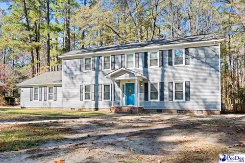 Exterior - 305 Virginia Ave, Cheraw, SC 29520 photo 4 of 15