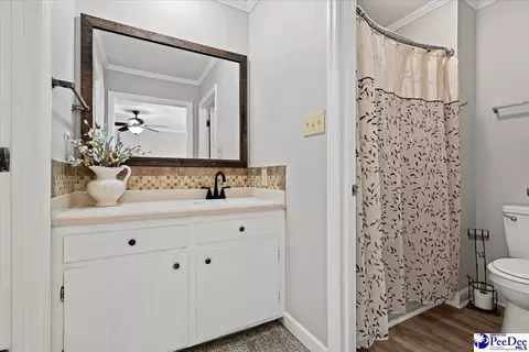 Bath - 305 Virginia Ave, Cheraw, SC 29520 photo 2 of 7