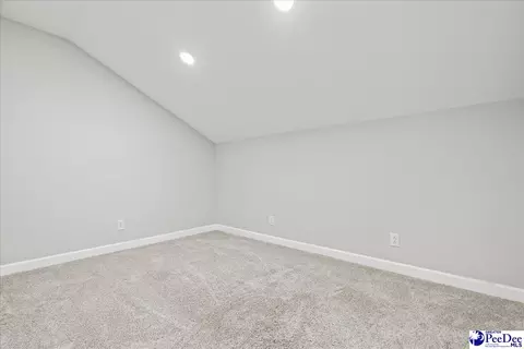 305 Virginia Ave, Cheraw, SC 29520 photo 46