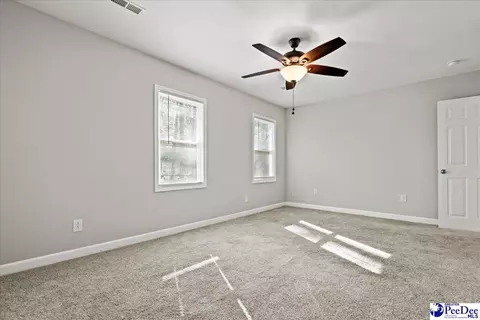 Other - 305 Virginia Ave, Cheraw, SC 29520 photo 13 of 22