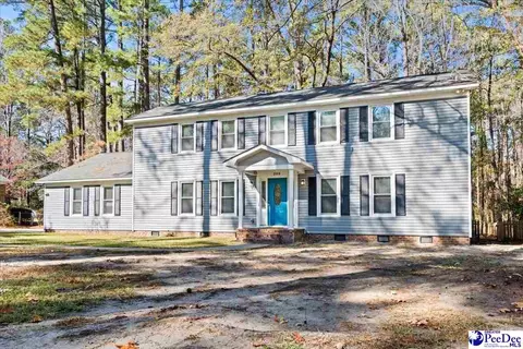 305 Virginia Ave, Cheraw, SC 29520 photo 4