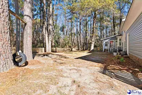 Exterior - 305 Virginia Ave, Cheraw, SC 29520 photo 11 of 15