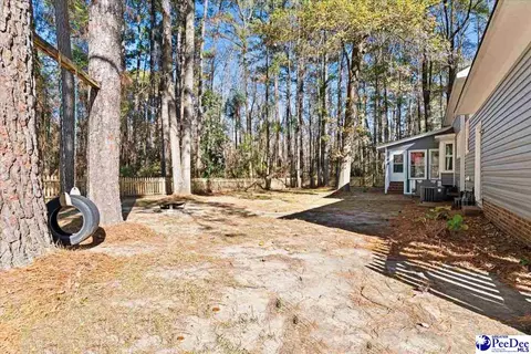 Exterior - 305 Virginia Ave, Cheraw, SC 29520 photo 15 of 15