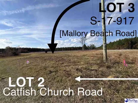 lot3 S 17-917, Latta, SC 29565