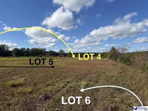 lot4 Mallory Beach Rd, Latta, SC 29565