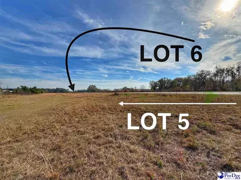 lot5 Mallory Beach Rd, Latta, SC 29565