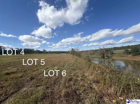 lot6 Mallory Beach Rd, Latta, SC 29565