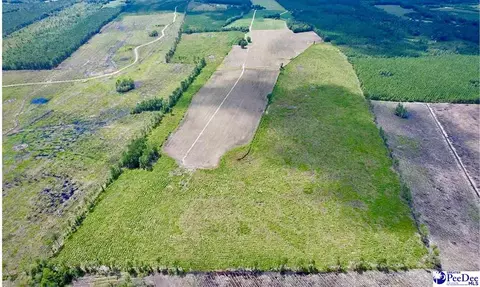 tbd Hwy 527, New Zion, SC 29111