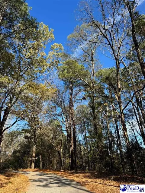 tbd Wilson St, Society Hill, SC 29583