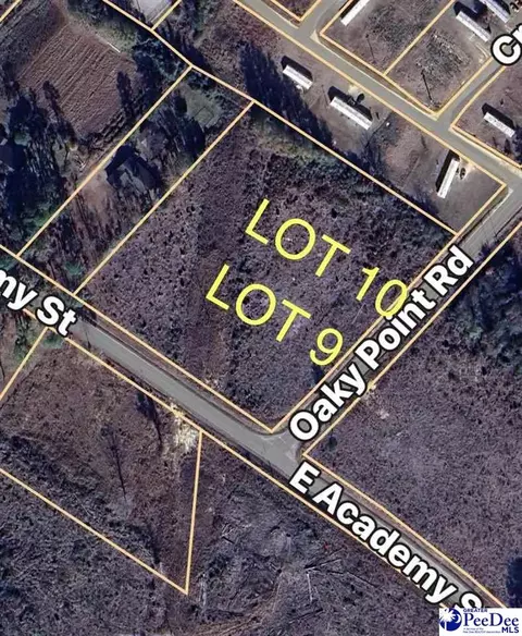 lot9 Oaky Point Rd, Latta, SC 29565