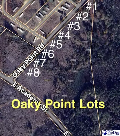 lot1 Oaky Point Rd, Latta, SC 29565