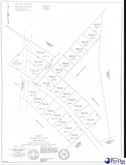 lot4 Oaky Point Rd, Latta, SC 29565 photo 2