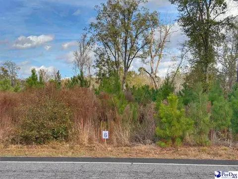 lot6 E Academy Street Ext, Latta, SC 29565