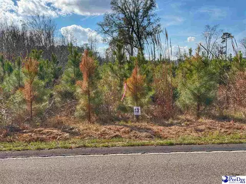 lot13 E Academy Street Ext, Latta, SC 29565