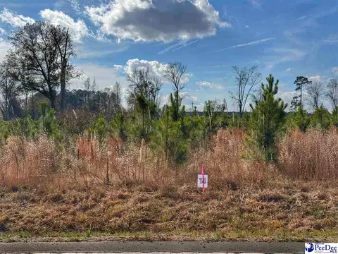 lot14 E Academy Street Ext, Latta, SC 29565