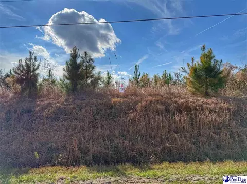 lot17 E Academy Street Ext, Dillon, SC 29565