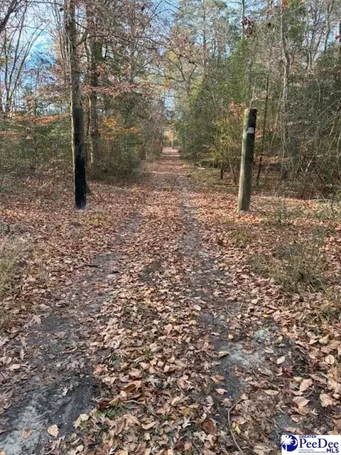 tbd Black Creek Rd, Florence, SC 29501