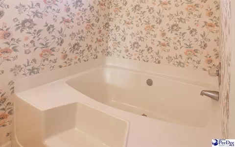 1041 Dover Cir, Sumter, SC 29154 photo 39