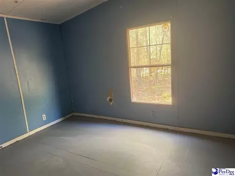 4604 Bon Rea Dr, Lancaster, SC 29720 photo 10
