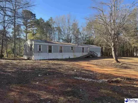 4604 Bon Rea Dr, Lancaster, SC 29720 photo 1