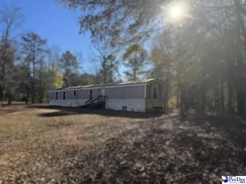 4604 Bon Rea Dr, Lancaster, SC 29720 photo 4
