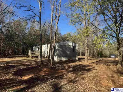 4604 Bon Rea Dr, Lancaster, SC 29720 photo 2