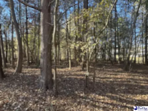 4604 Bon Rea Dr, Lancaster, SC 29720 photo 3